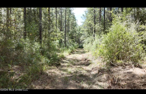 Vacant Land For Sale - Union Road Se<br/> Brookhaven, MS 39601
