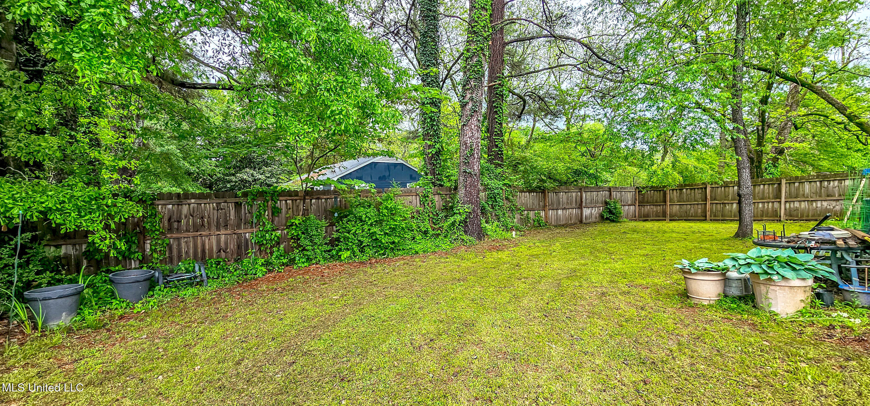 96 Line Street, Senatobia, Mississippi image 24