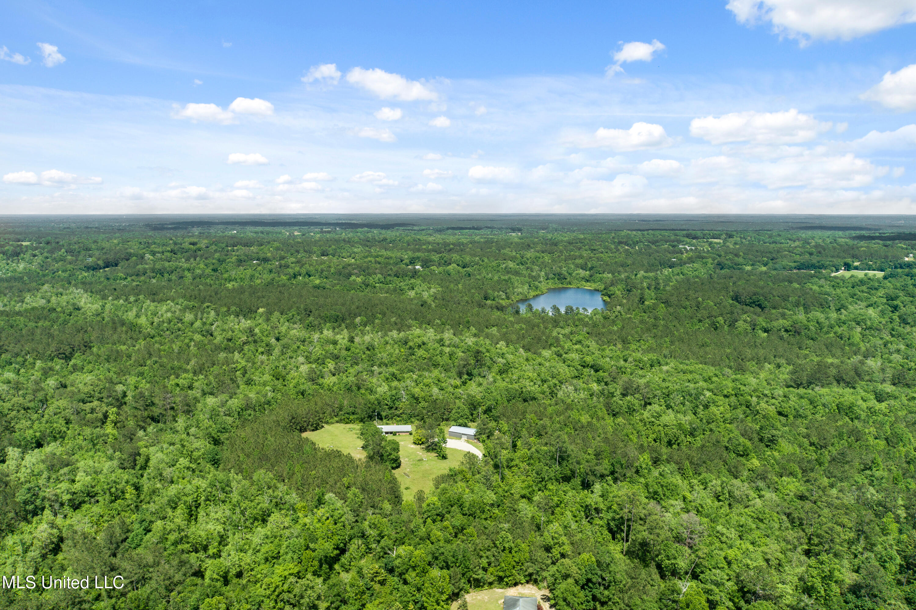 94 Lloyd Wise Road, Carriere, Mississippi image 9