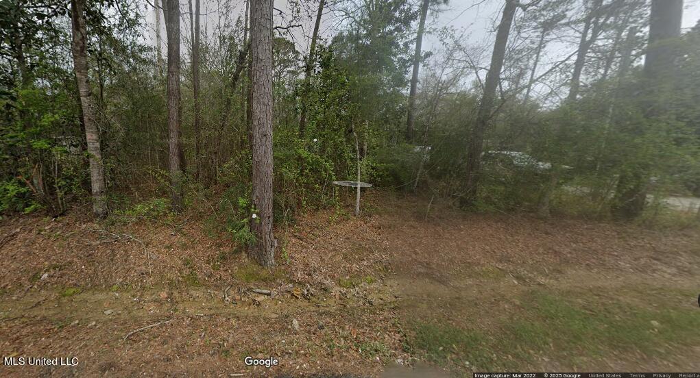 Dogwood Drive, Kiln, Mississippi image 1