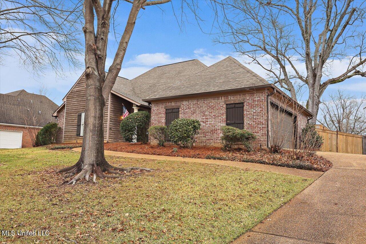 298 Red Eagle Circle, Ridgeland, Mississippi image 3