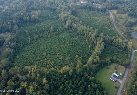 Vacant Land For Sale - Blizzard Road<br/> Lauderdale County, Meridian, MS 39305