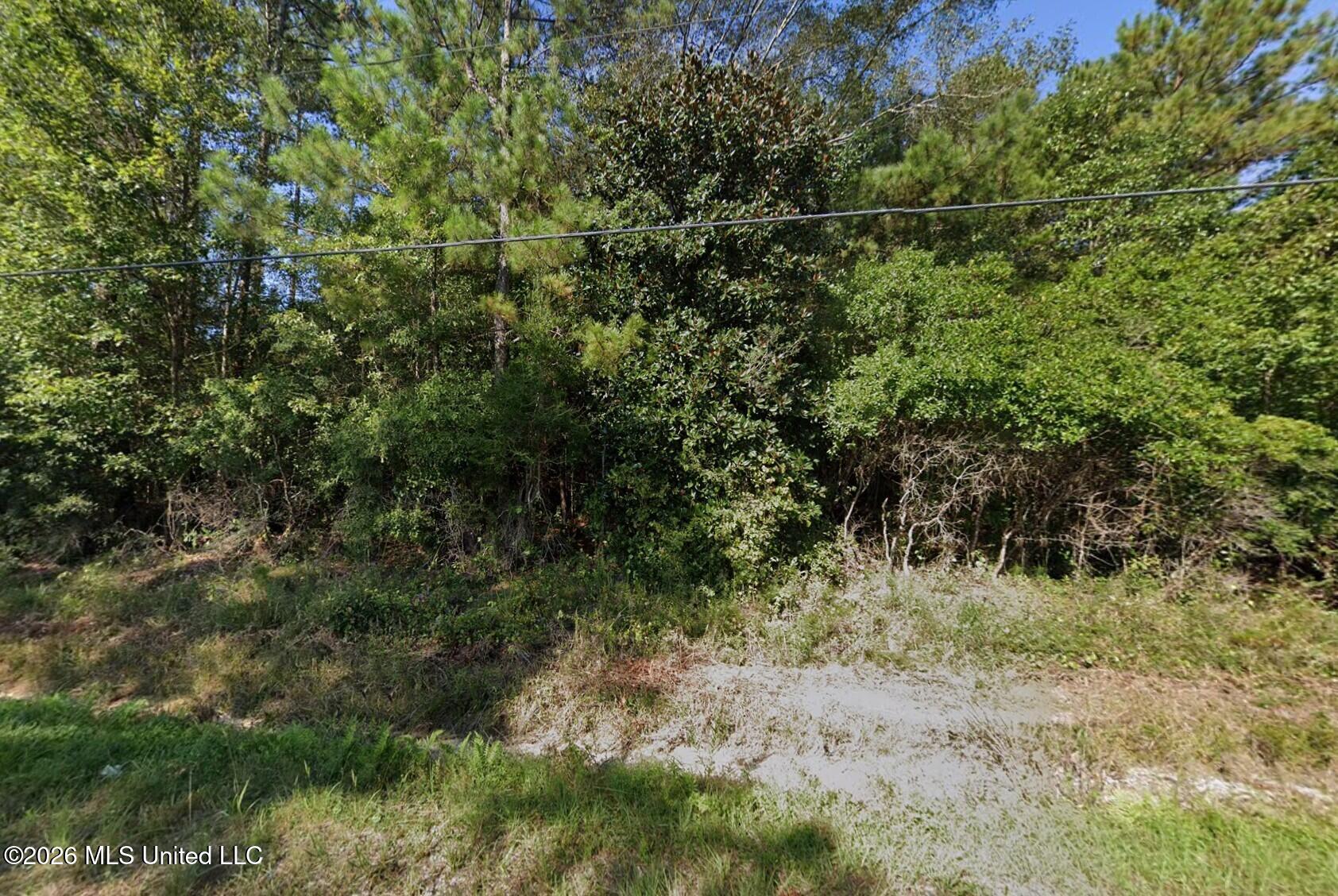 101 Shenandoah Road