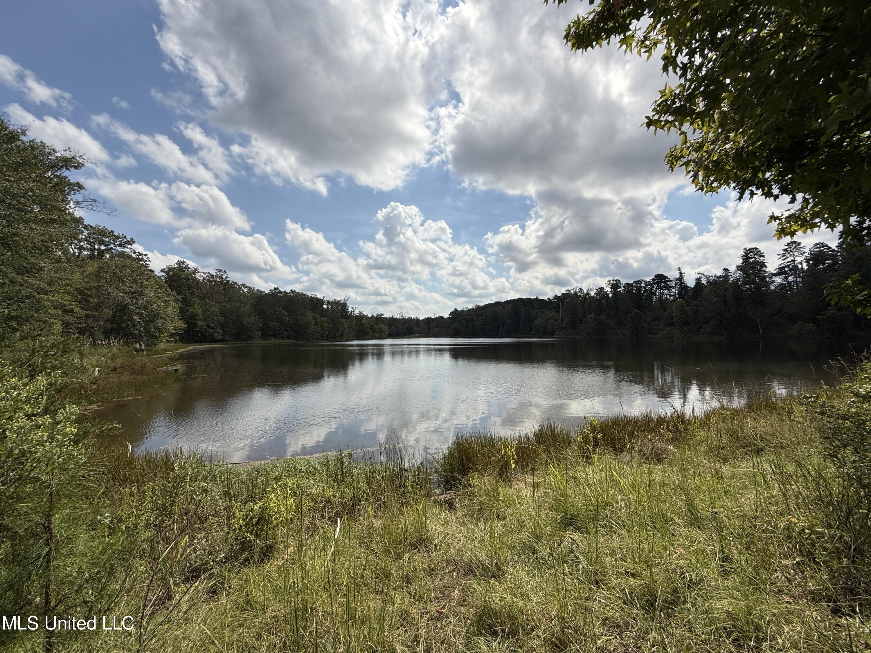 Highway 51, Winona, Mississippi image 19