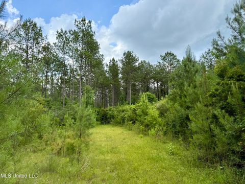 Vacant Land For Sale - Sones Chapel Rd Road<br/> Carriere, MS 39426