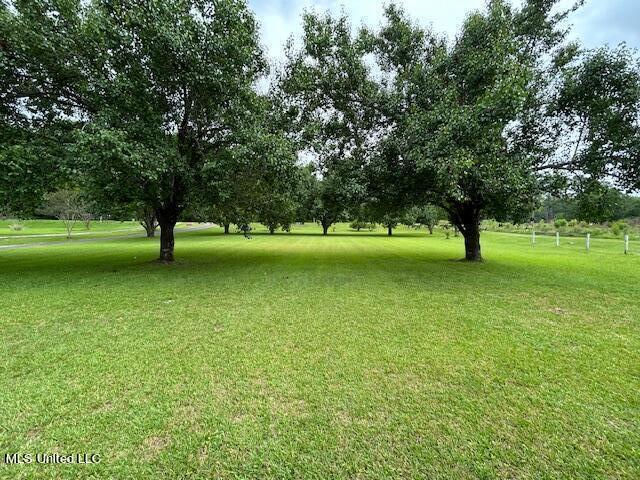 320 Burnt House Road, Vicksburg, Mississippi image 32