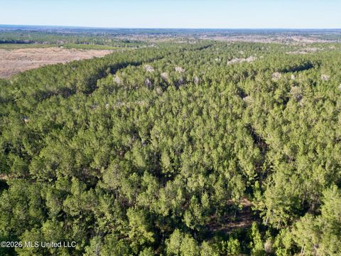 Vacant Land For Sale - N Mississippi 43<br/> Poplarville, MS 39470