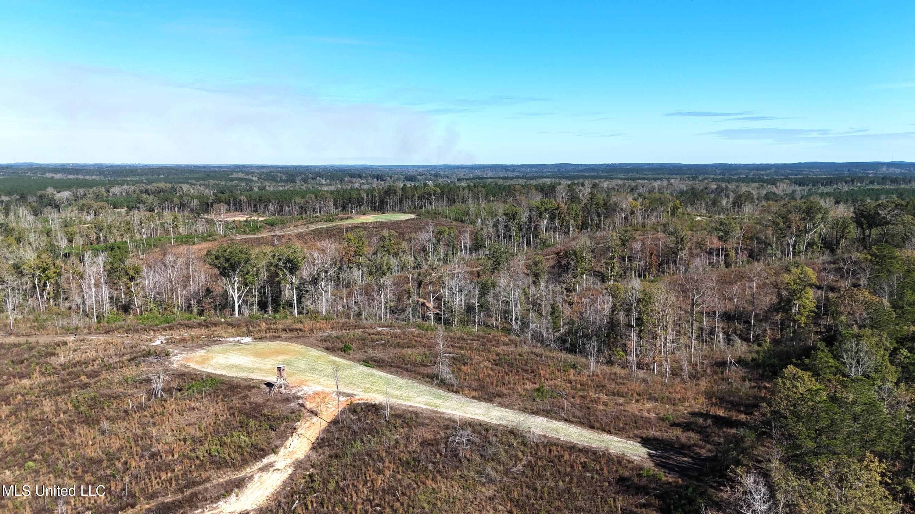 Little Rock County Line Road Road, Union, Mississippi image 15