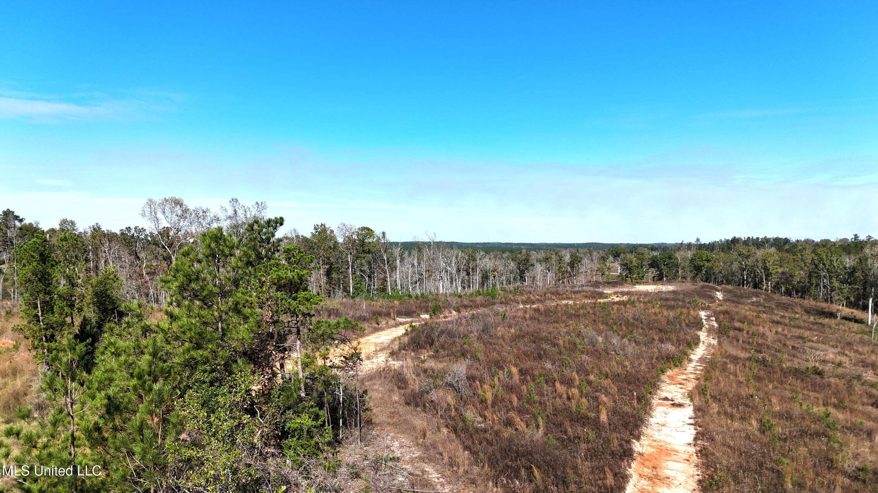 Little Rock County Line Road Road, Union, Mississippi image 19