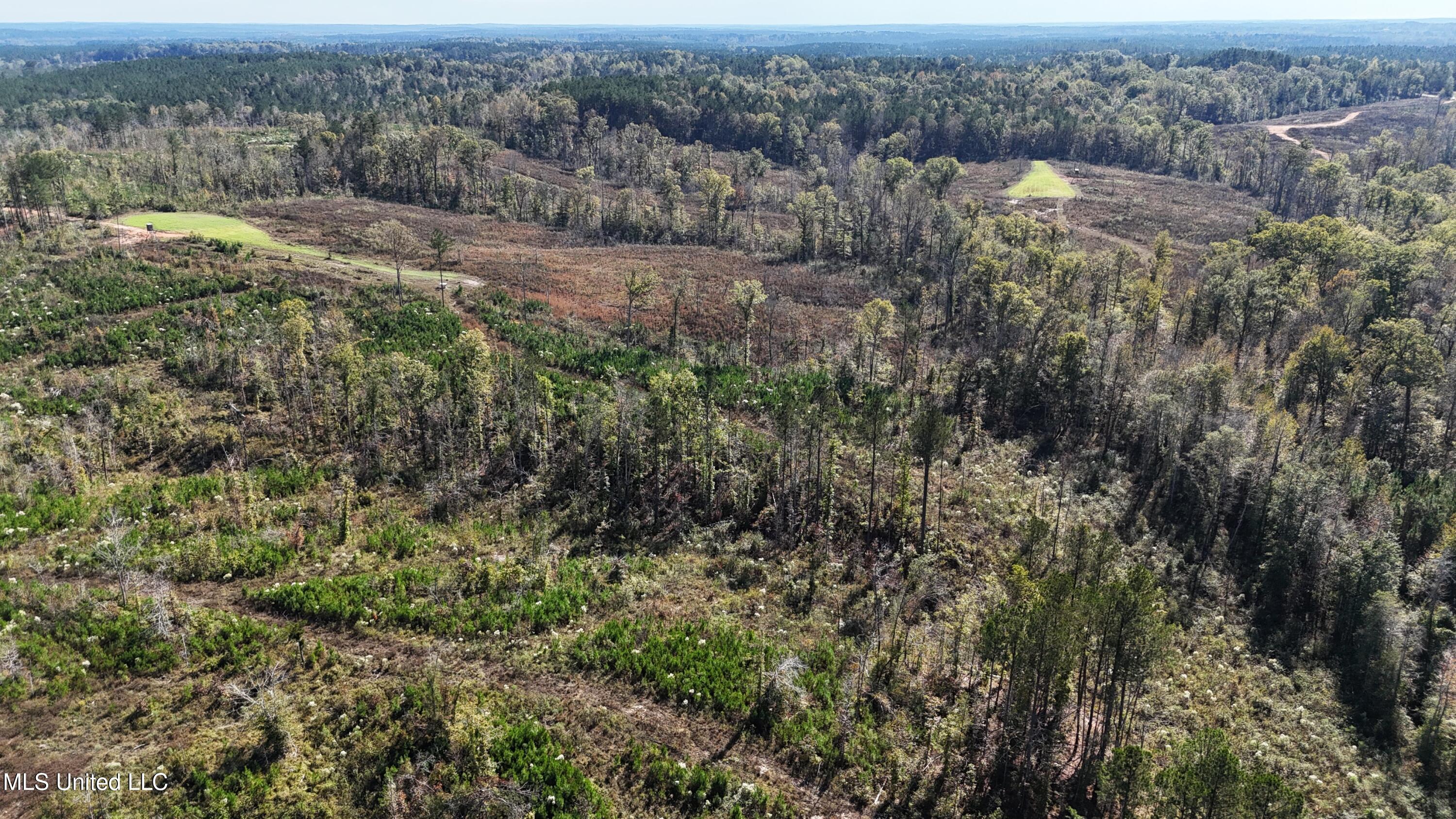 Little Rock County Line Road Road, Union, Mississippi image 7