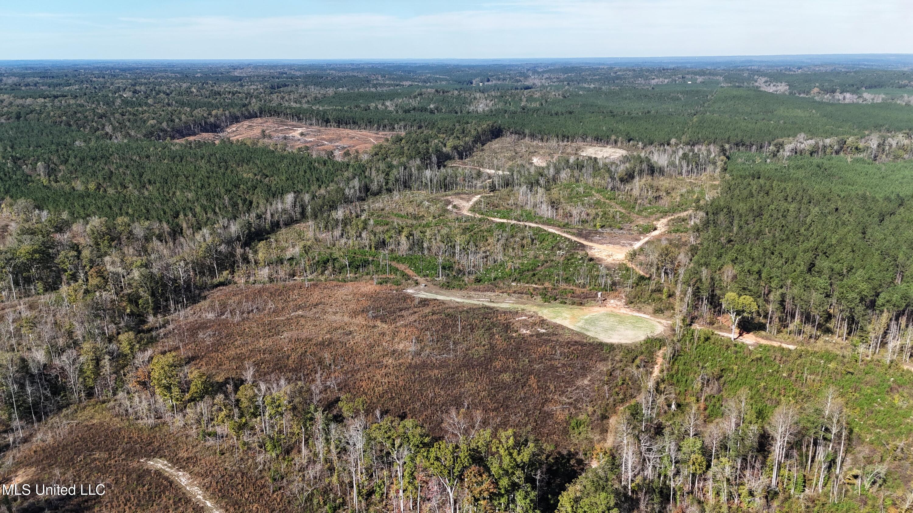 Little Rock County Line Road Road, Union, Mississippi image 2