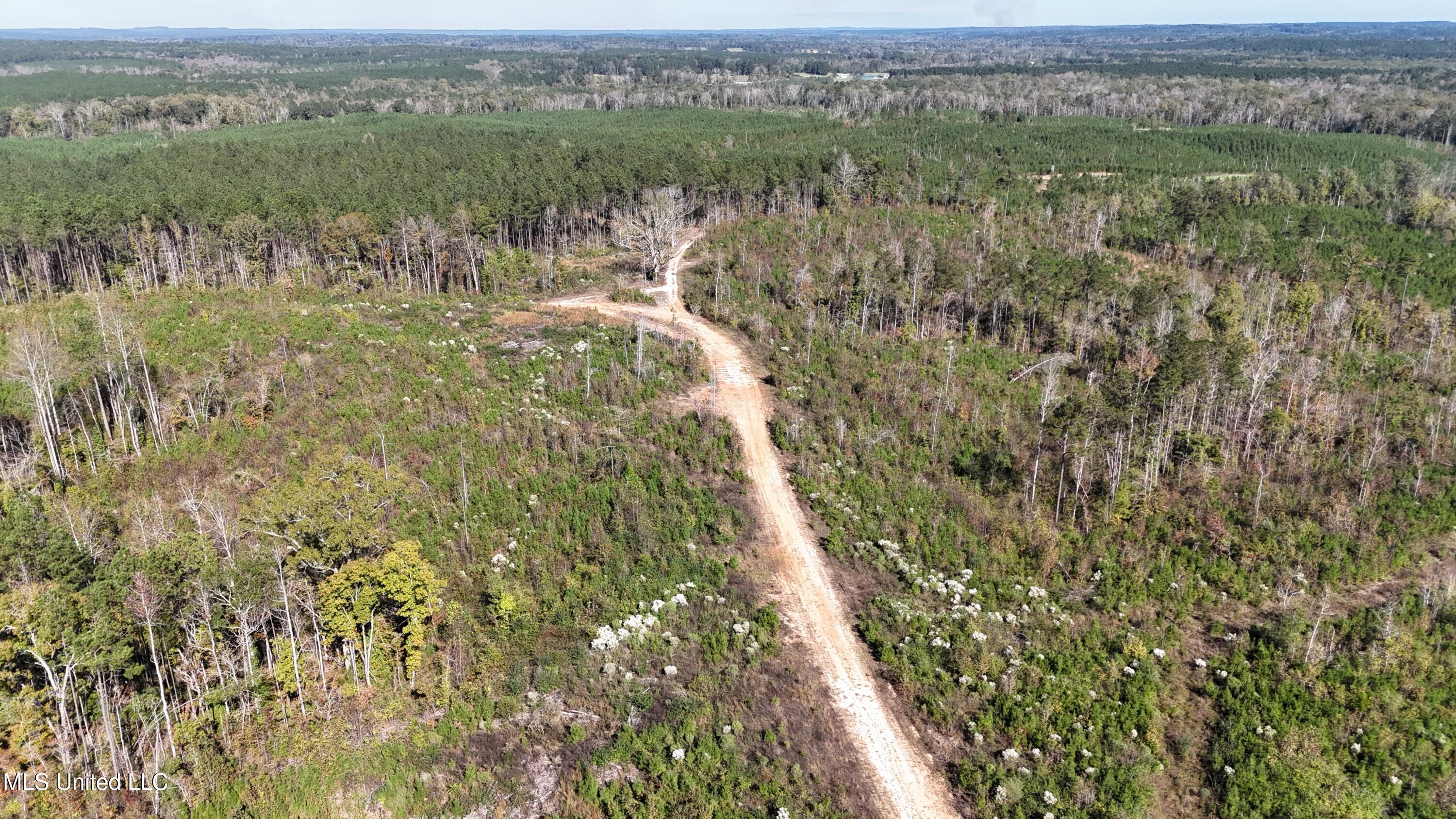 Little Rock County Line Road Road, Union, Mississippi image 5