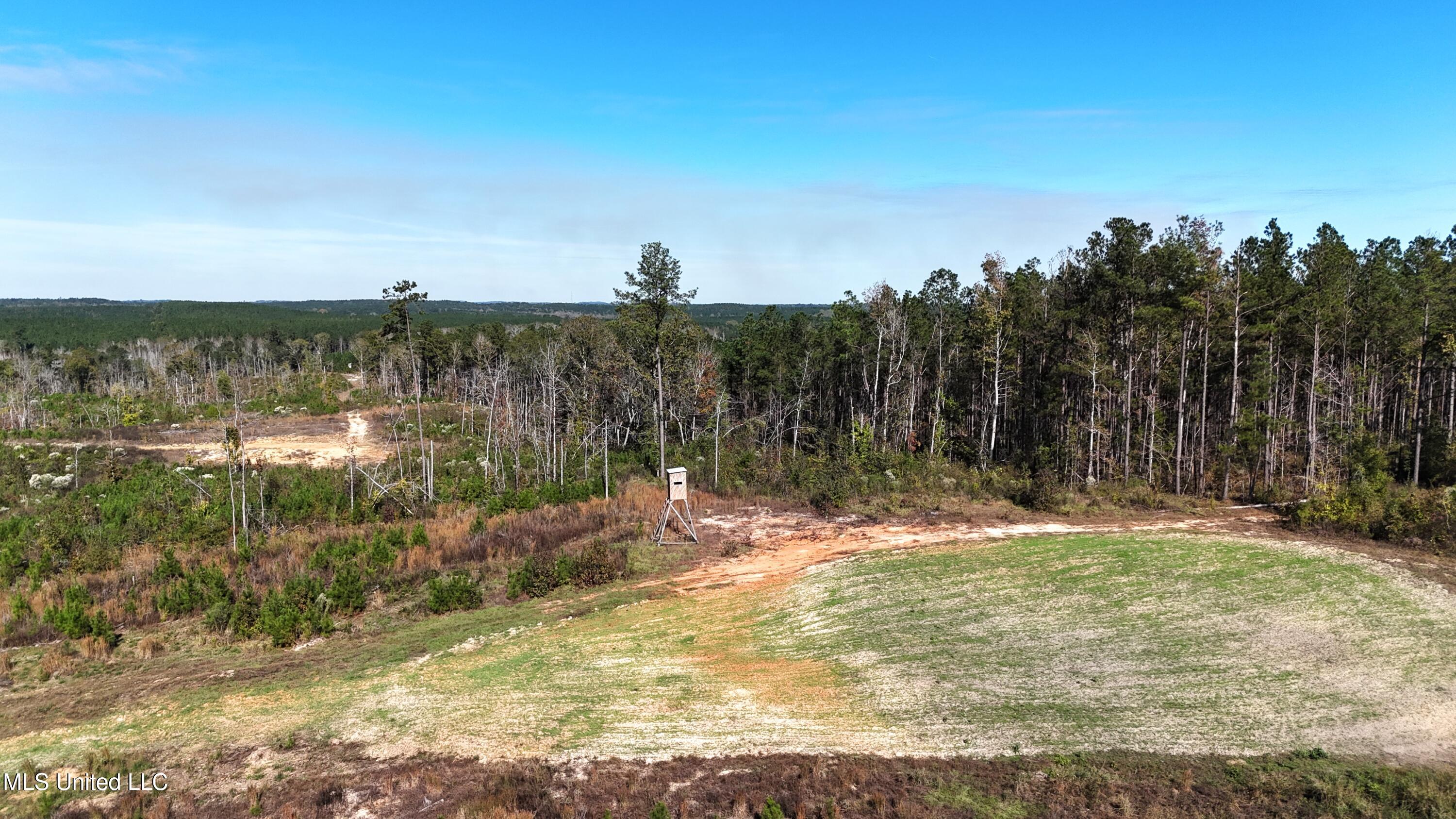 Little Rock County Line Road Road, Union, Mississippi image 11