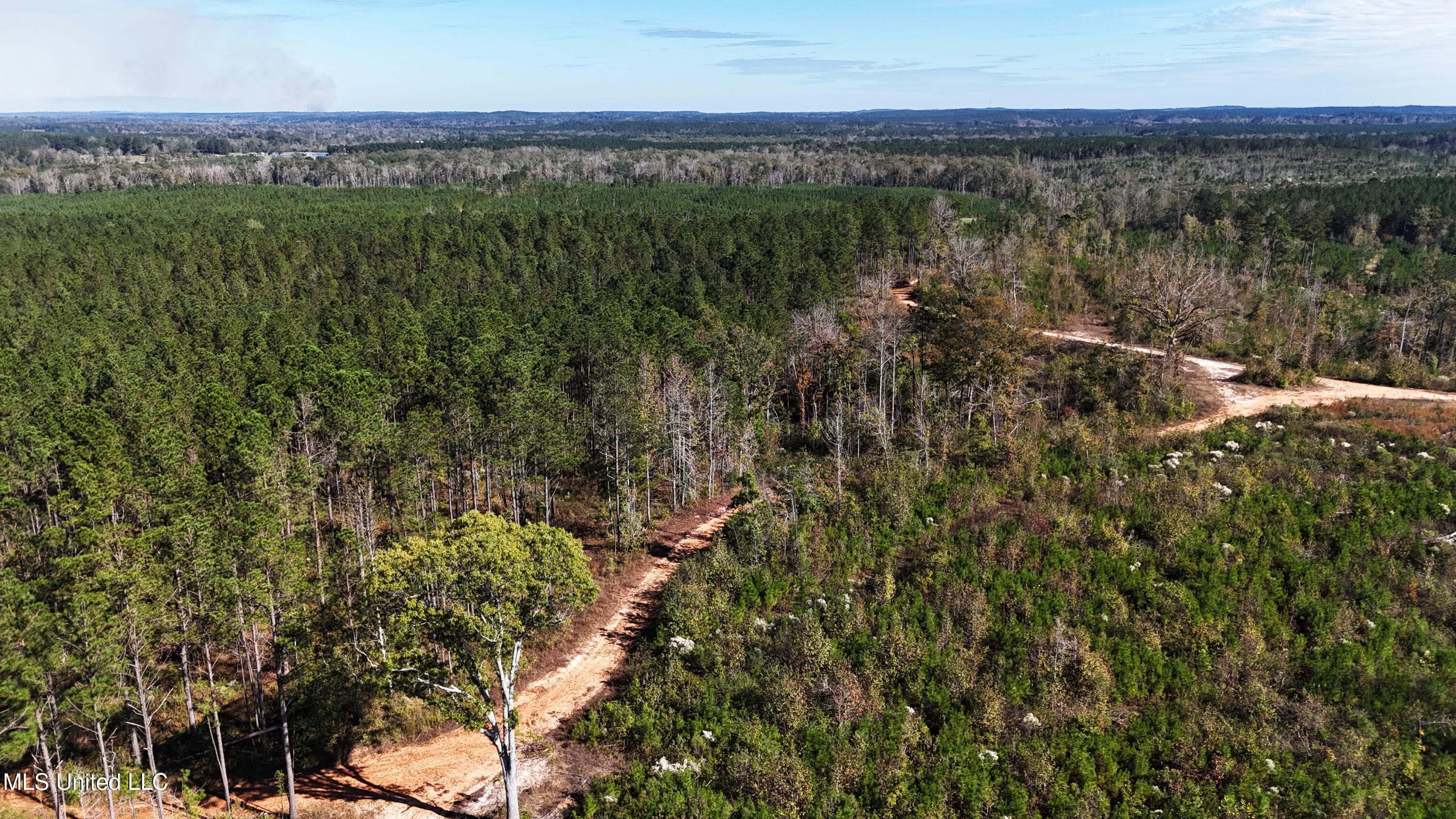 Little Rock County Line Road Road, Union, Mississippi image 10