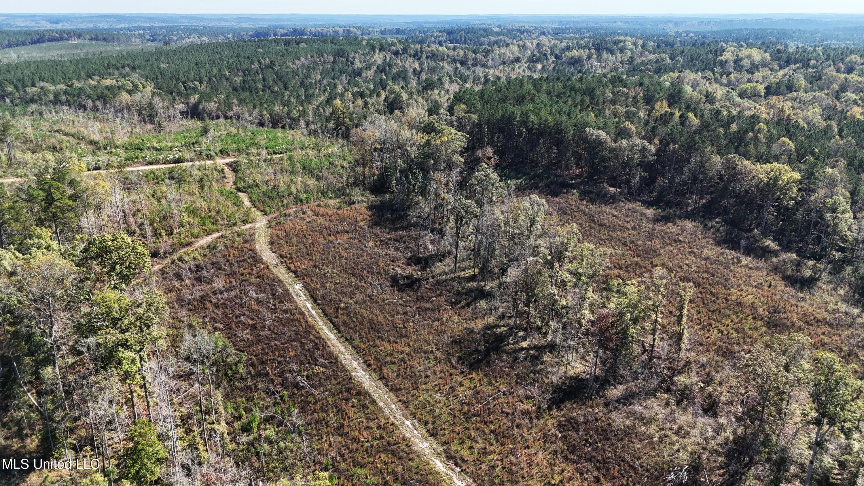 Little Rock County Line Road Road, Union, Mississippi image 6