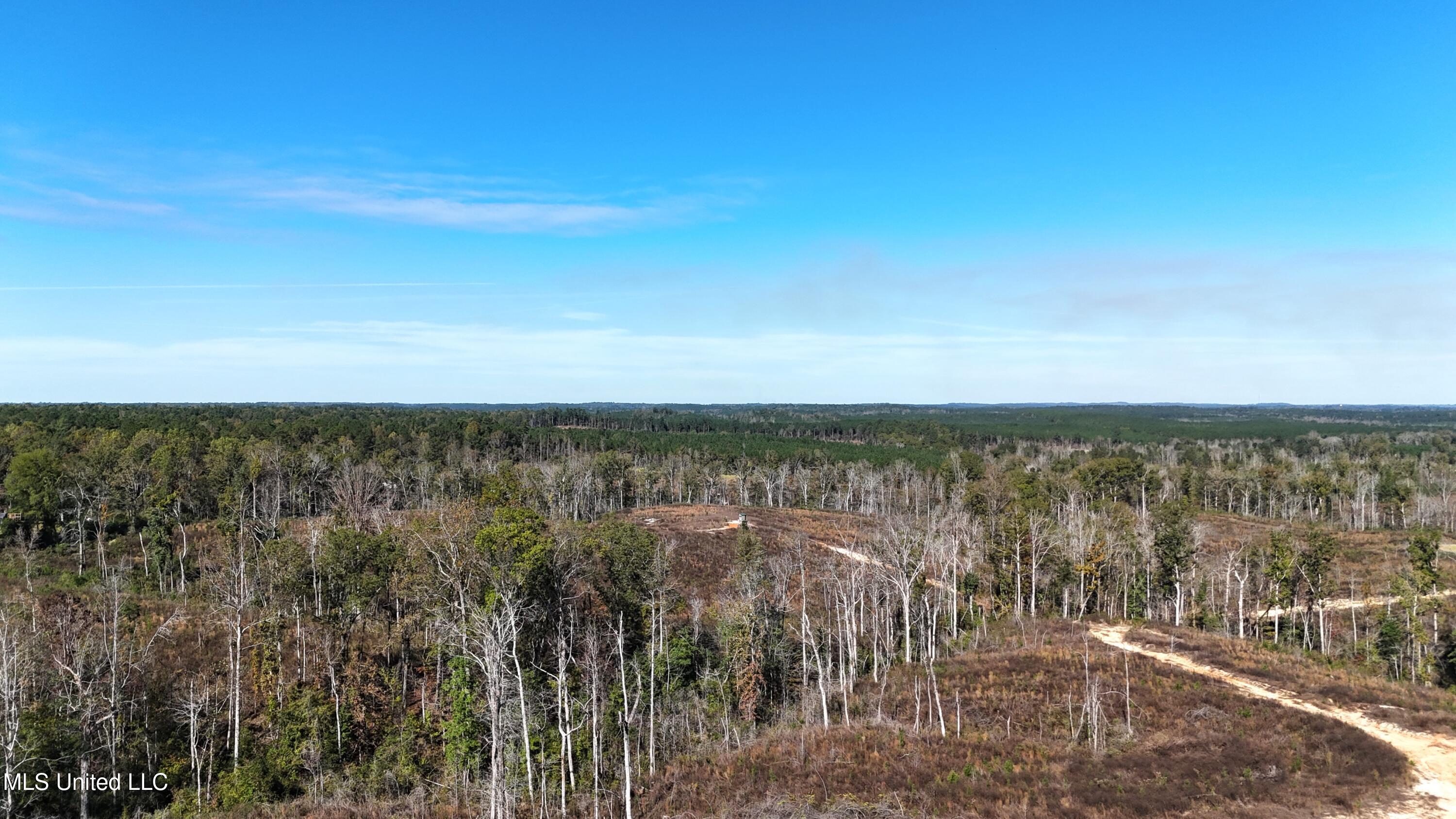 Little Rock County Line Road Road, Union, Mississippi image 17