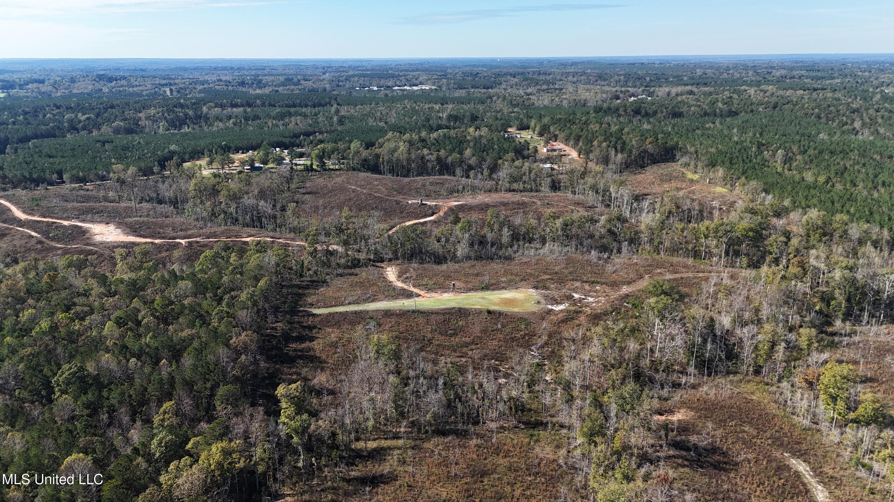 Little Rock County Line Road Road, Union, Mississippi image 3