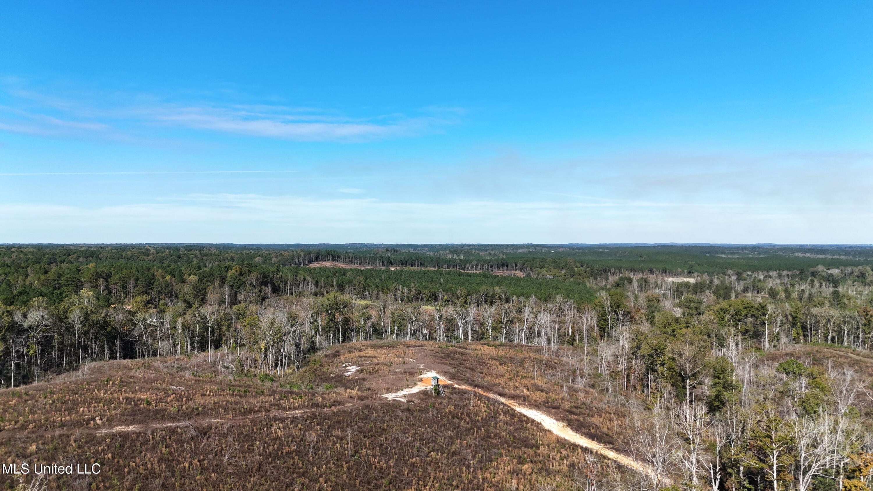 Little Rock County Line Road Road, Union, Mississippi image 16