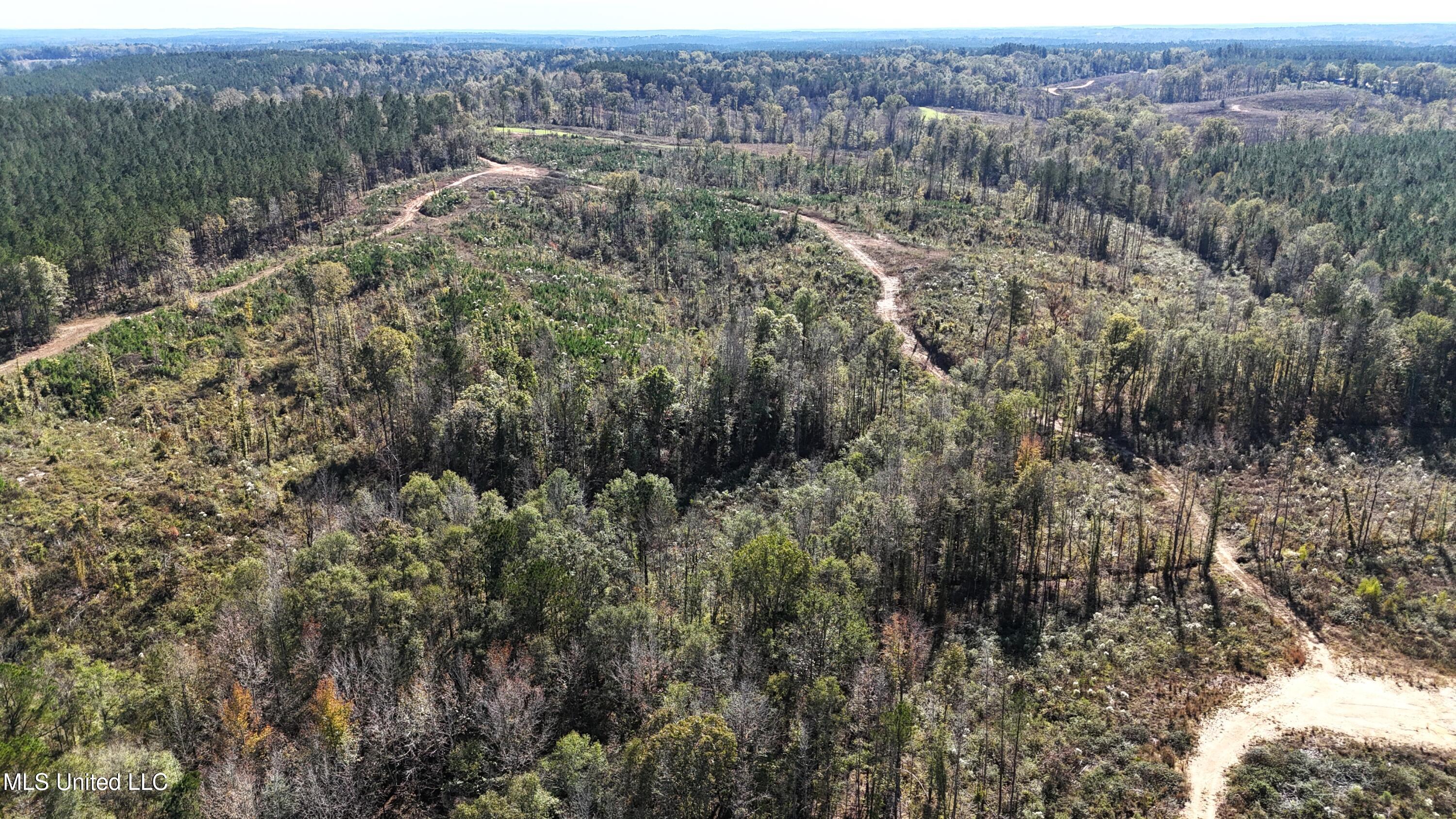 Little Rock County Line Road Road, Union, Mississippi image 8