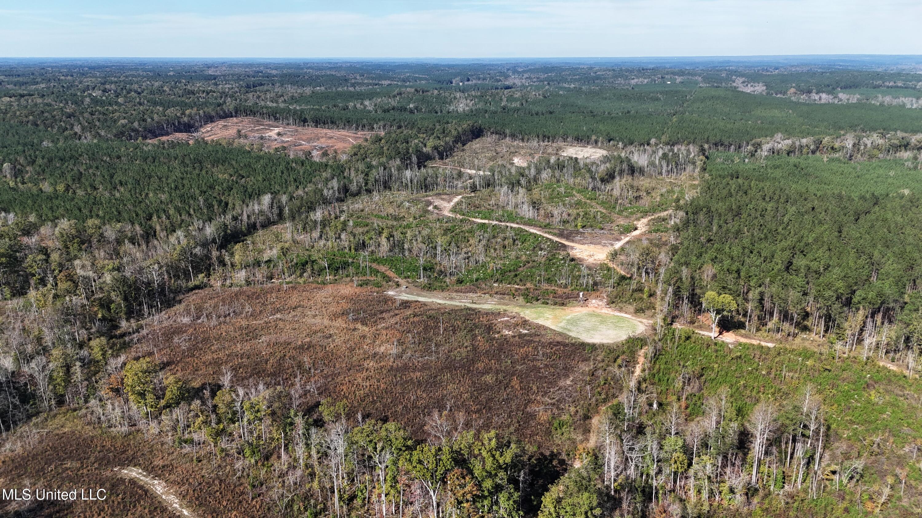 Little Rock County Line Road Road, Union, Mississippi image 4