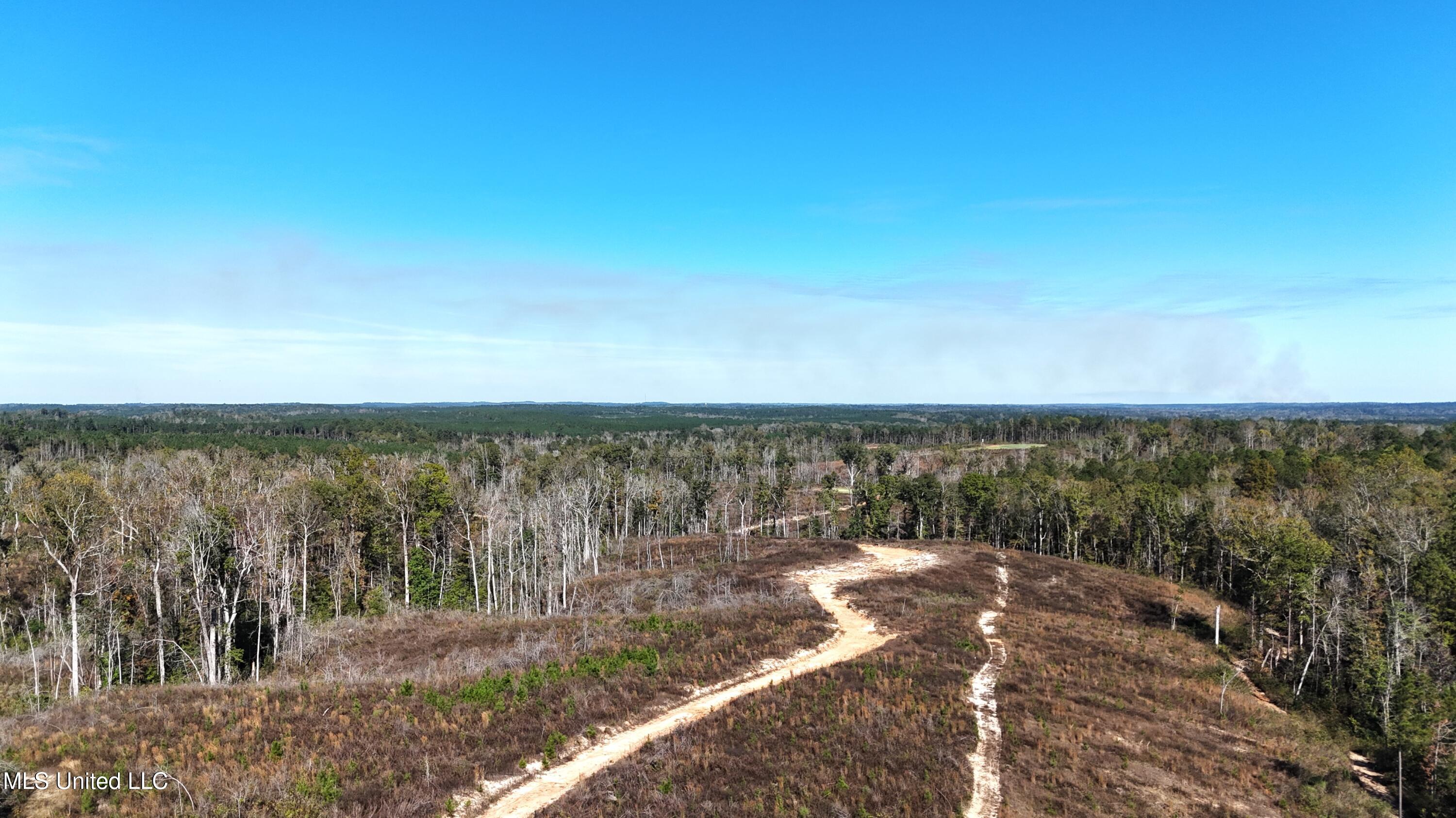 Little Rock County Line Road Road, Union, Mississippi image 18