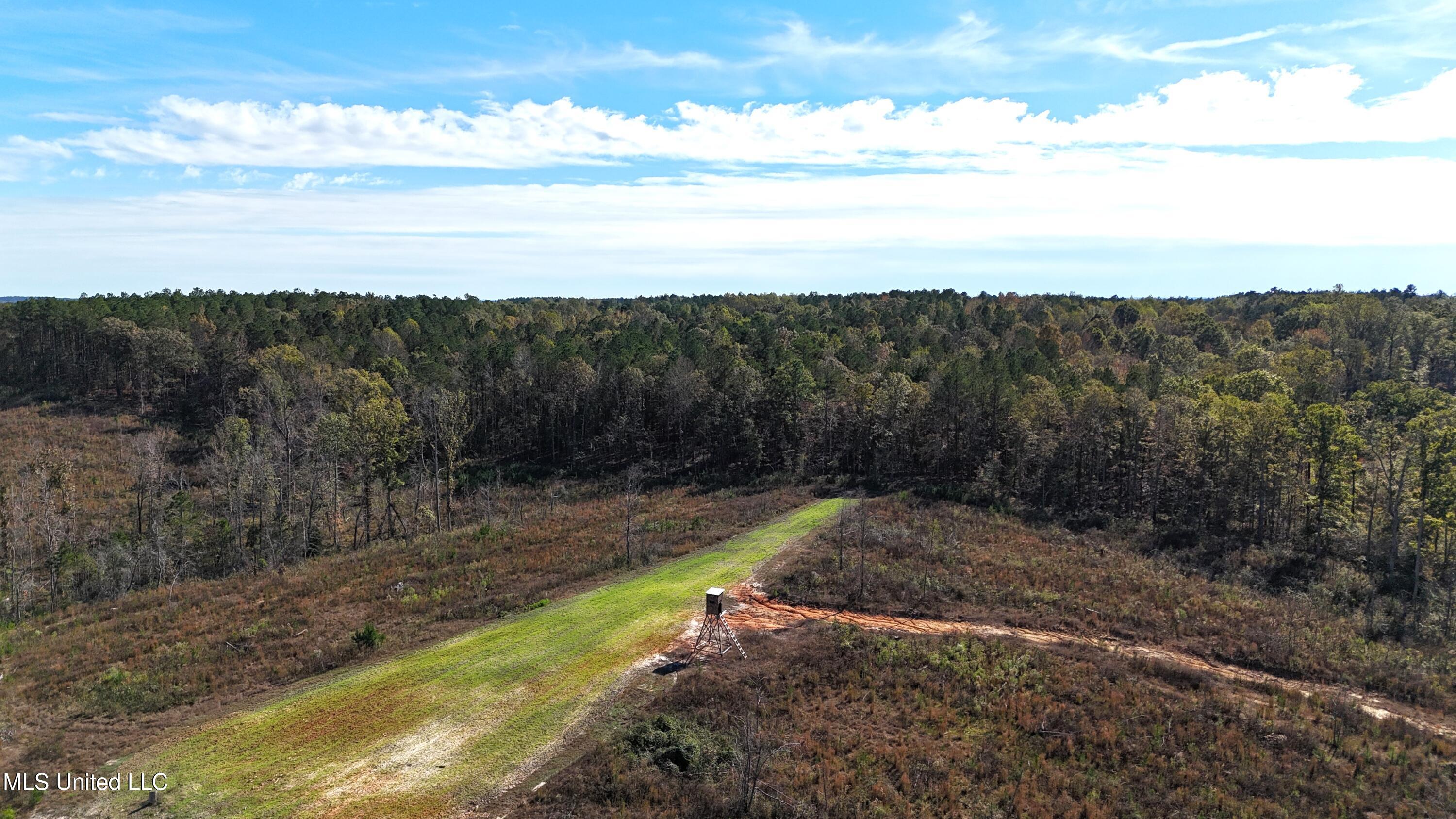 Little Rock County Line Road Road, Union, Mississippi image 13