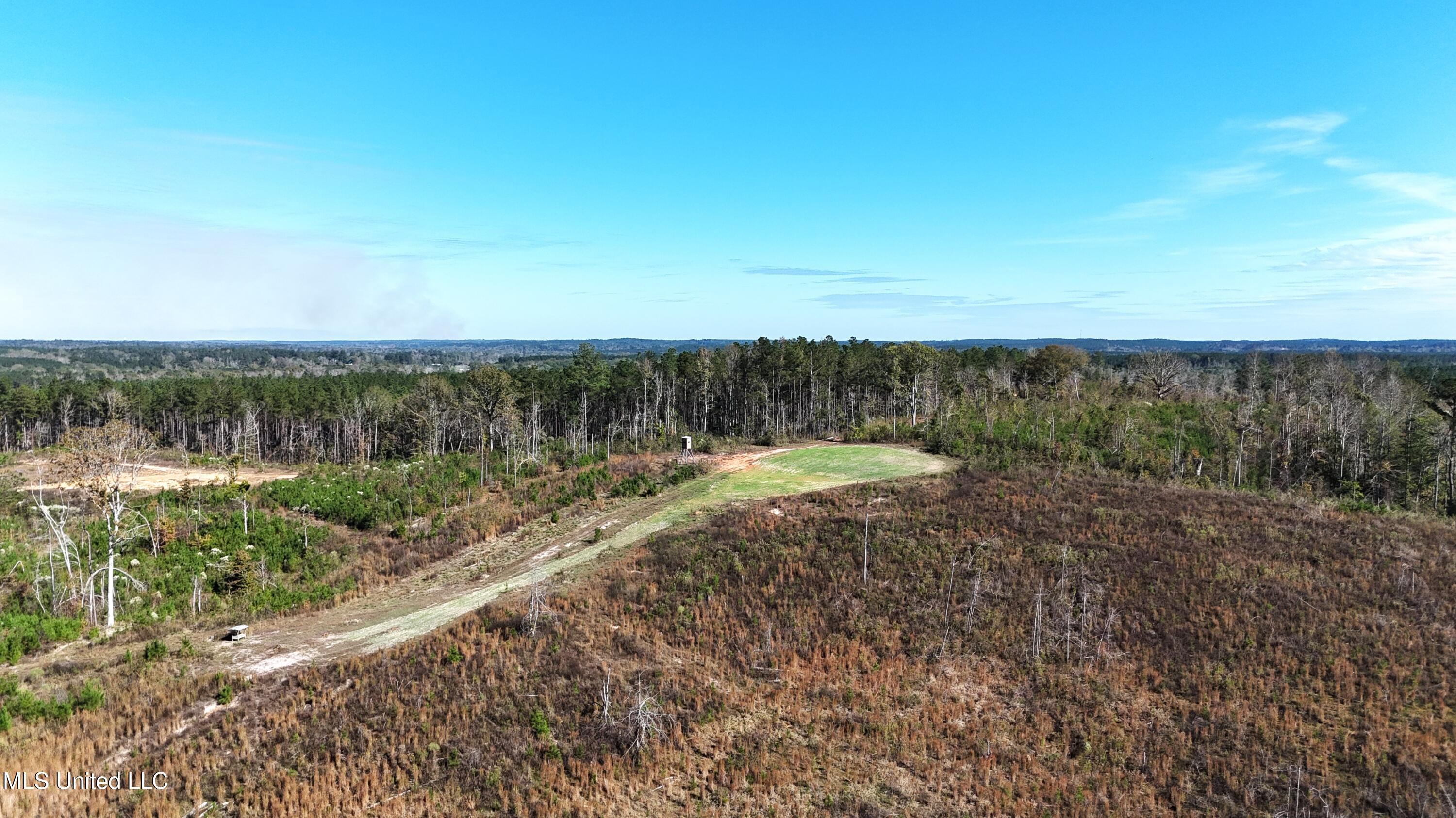 Little Rock County Line Road Road, Union, Mississippi image 12