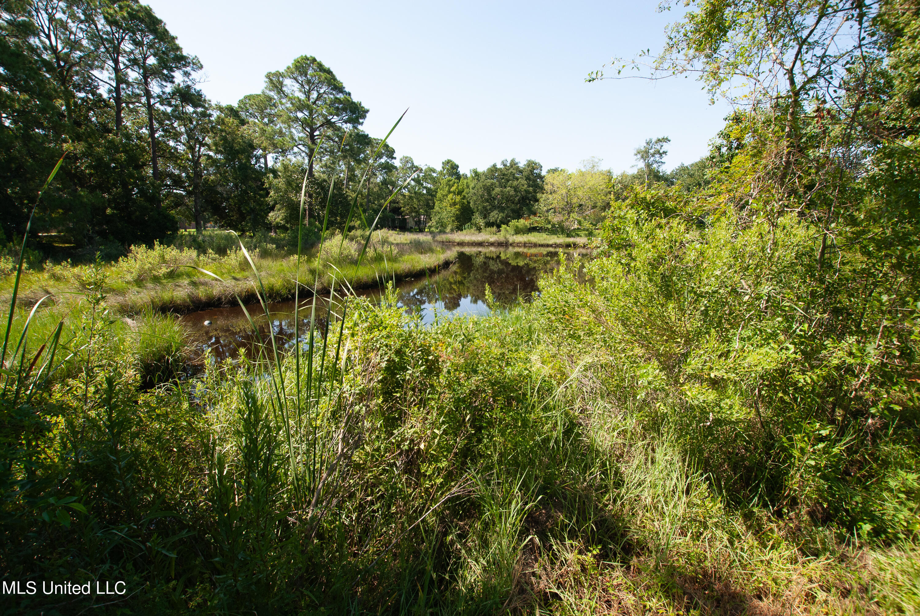 808 Communy Avenue, Pascagoula, Mississippi image 5