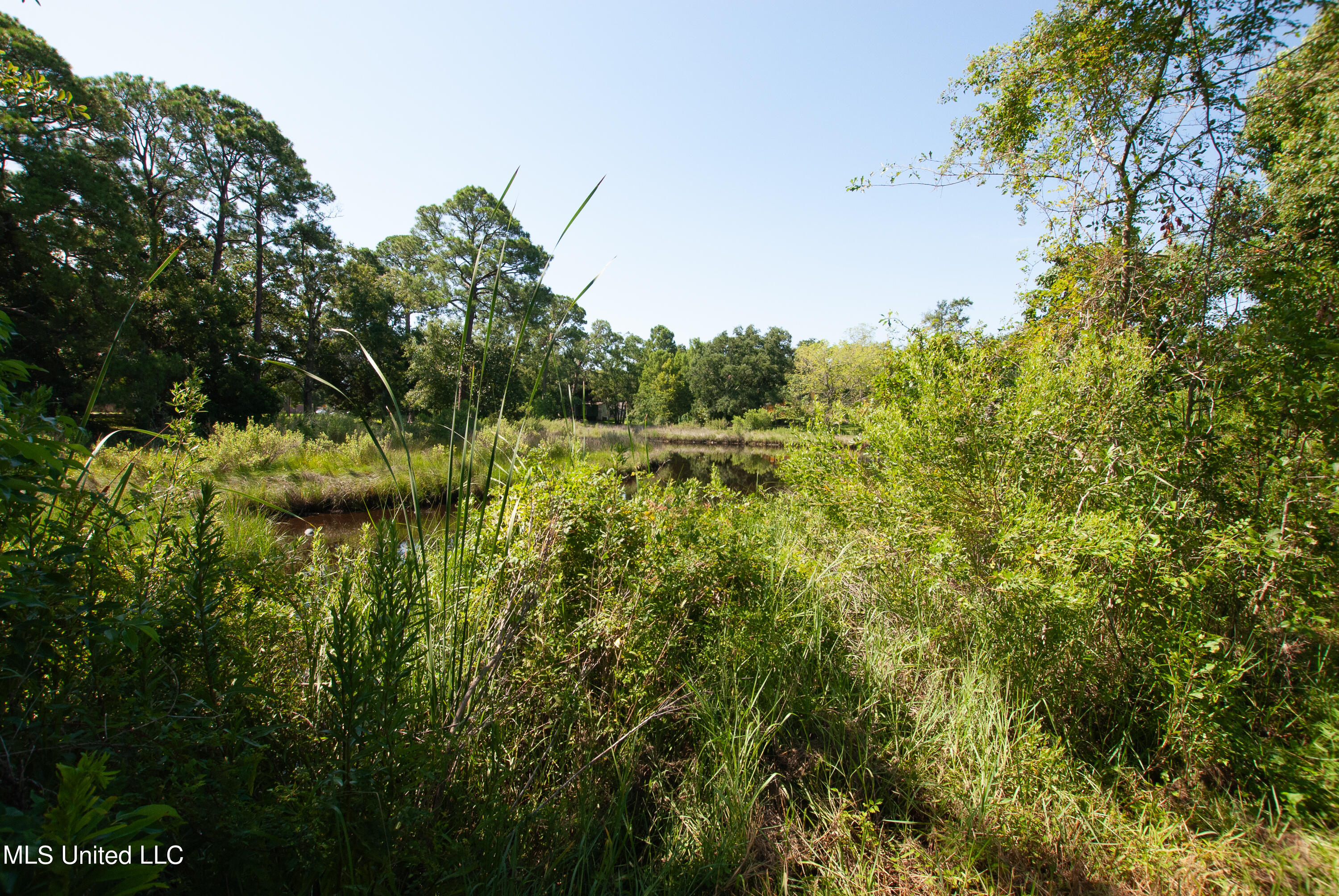 808 Communy Avenue, Pascagoula, Mississippi image 4