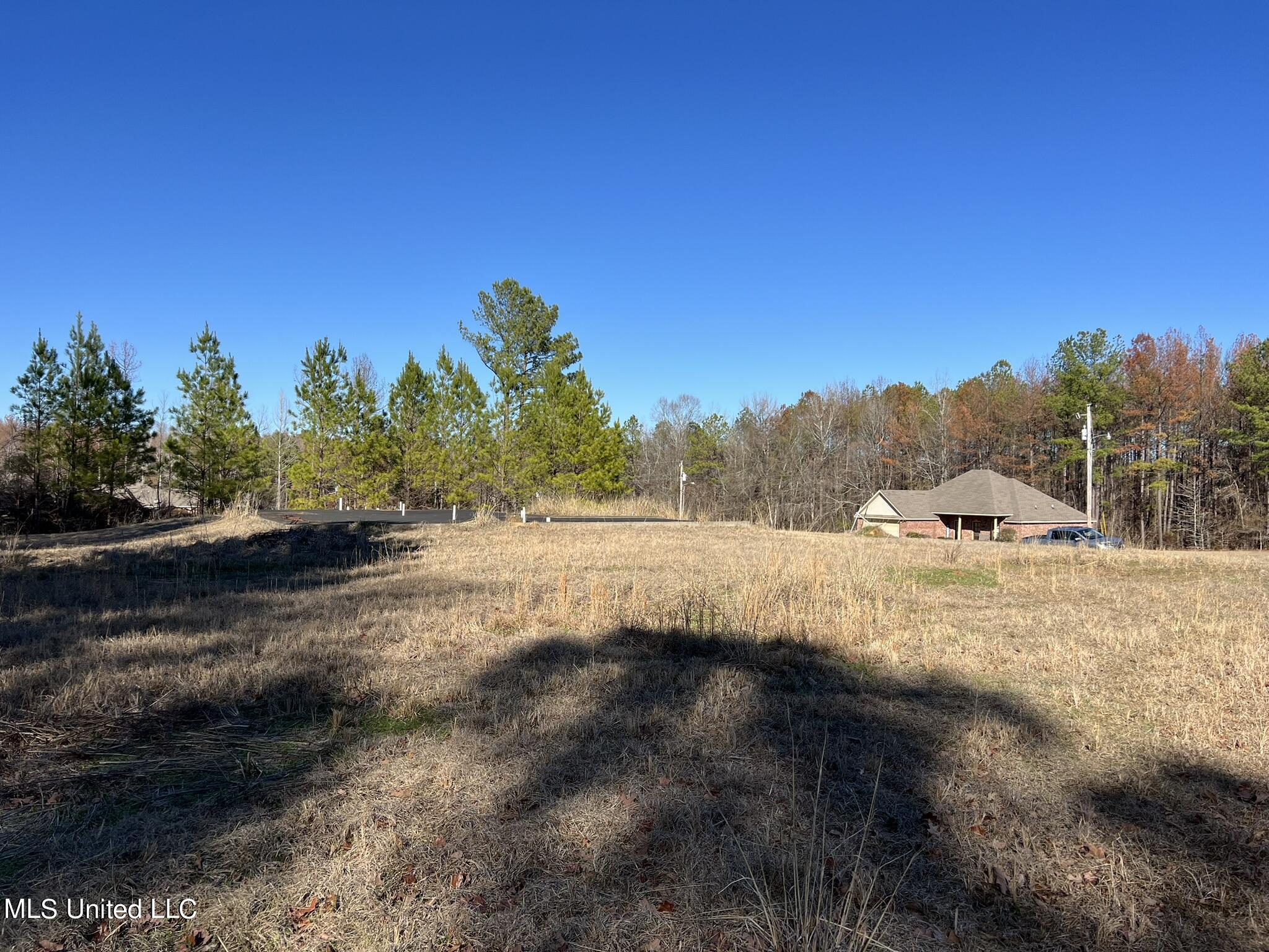 108 Forest Lake Drive, Byram, Mississippi image 8