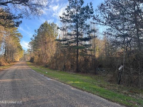 Vacant Land For Sale - NE Furrs Mill Drive<br/> Wesson, MS 39191