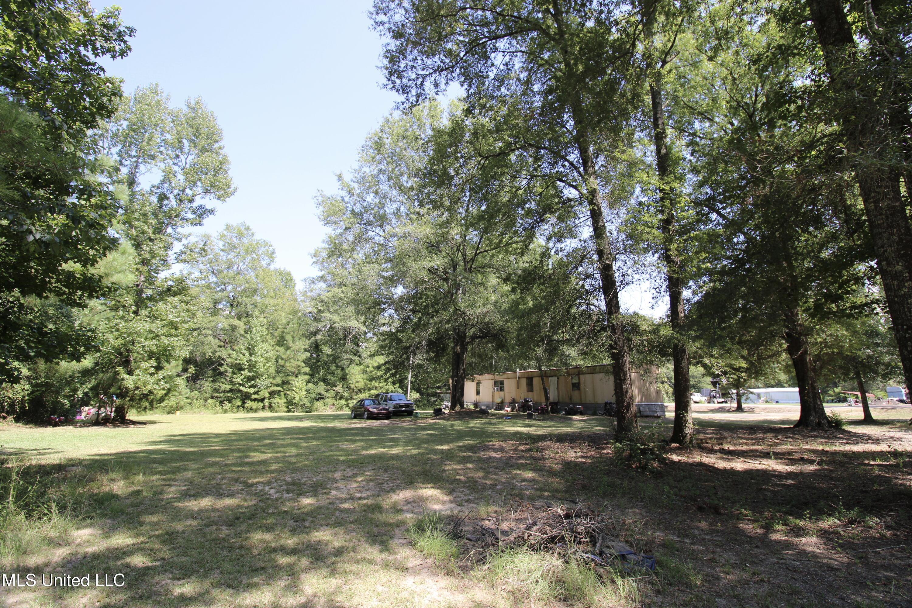 1603 Holly Bush Road Rd, Pelahatchie, Mississippi image 2