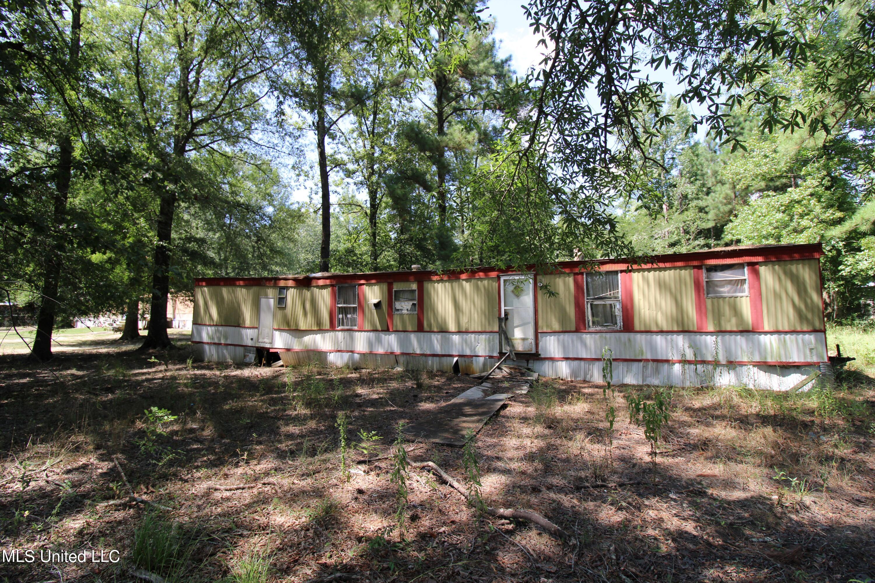 1603 Holly Bush Road Rd, Pelahatchie, Mississippi image 3