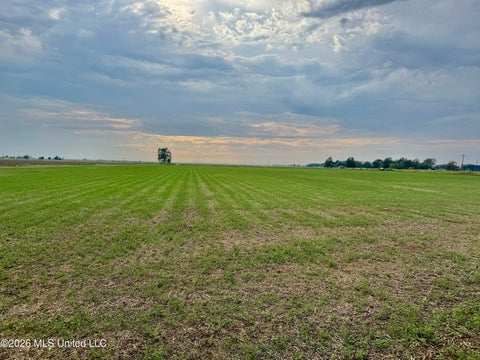 Vacant Land For Sale - W Highway 8 1.7 Acres Lot B<br/> Bolivar County, Cleveland, MS 38732