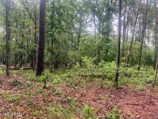 450 SW Apple Trail, Bogue Chitto, Mississippi image 9