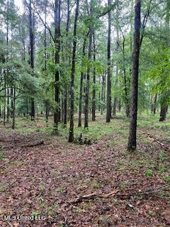 450 SW Apple Trail, Bogue Chitto, Mississippi image 7