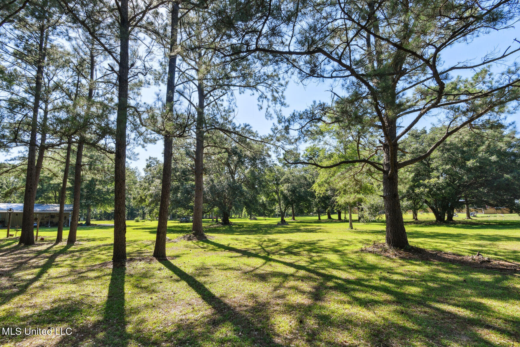 196 Richardson-ozona Road, Picayune, Mississippi image 15