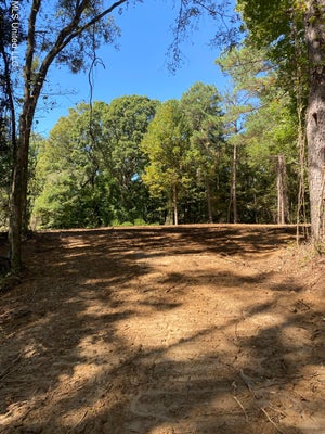 O BLUFF ROAD, COLDWATER, MS 38618 - Image 48cc7bf4202ac04cd1e43b4f35aec19e/962581693