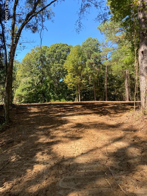 Vacant Land For Sale - O Bluff Road<br/> Coldwater, MS 38618