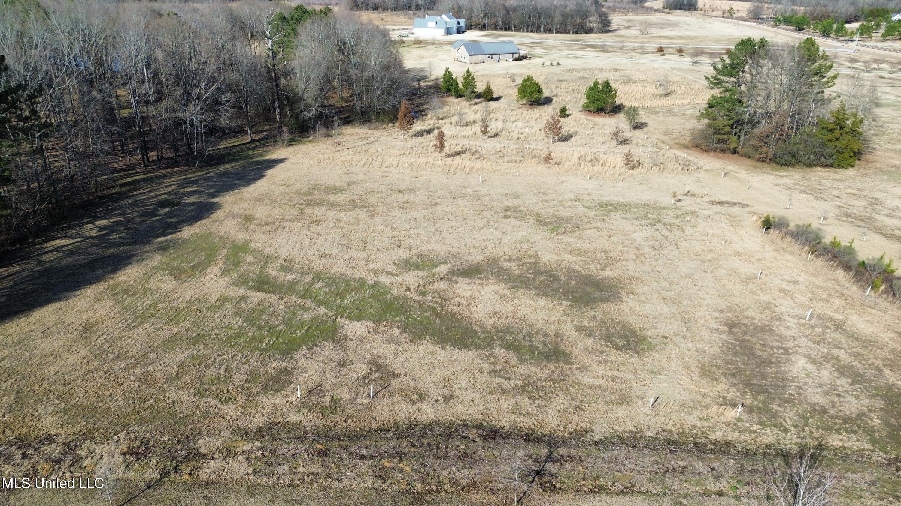 Two Lakes Drive, Madison, Mississippi image 8