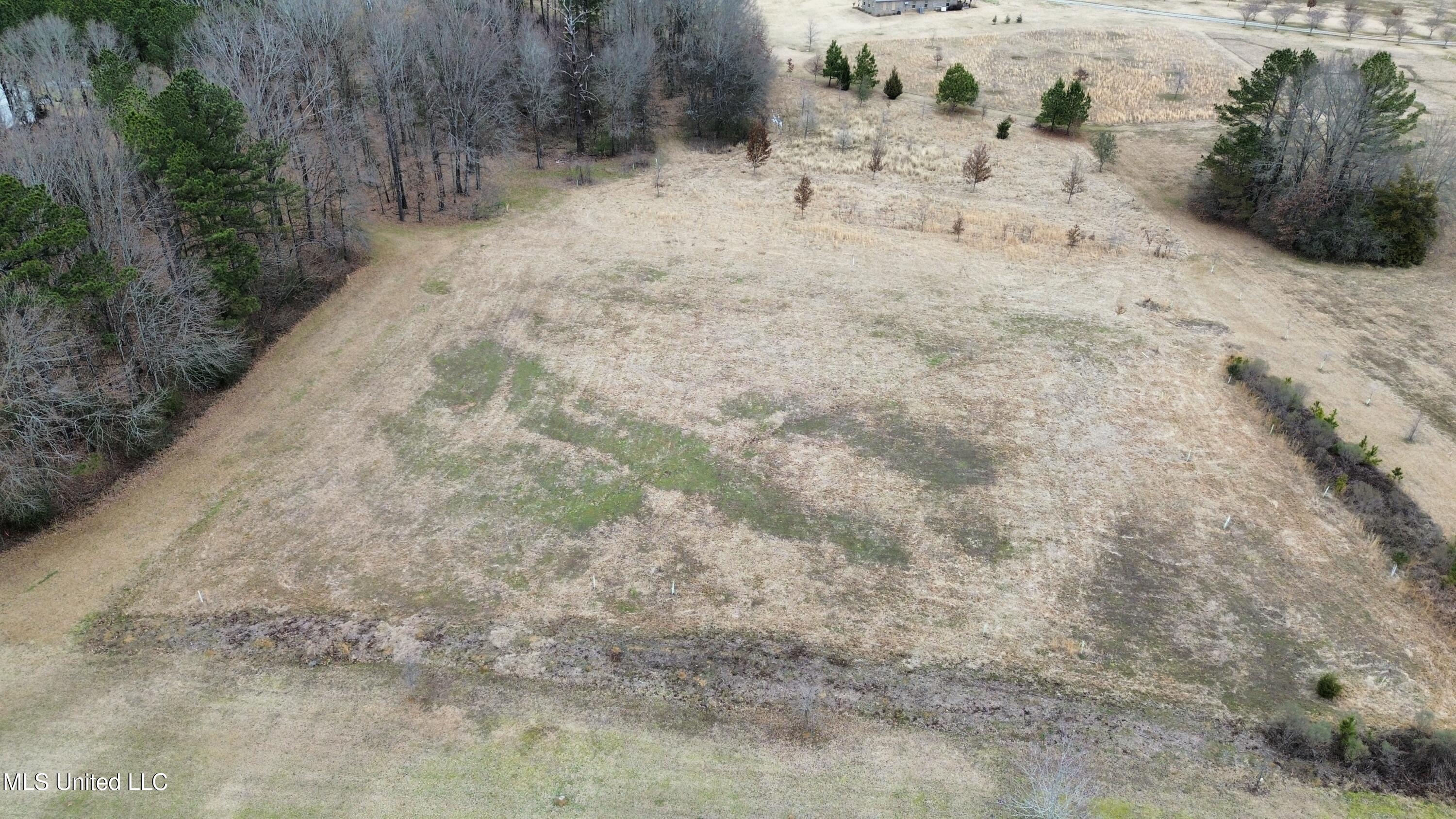 Two Lakes Drive, Madison, Mississippi image 3