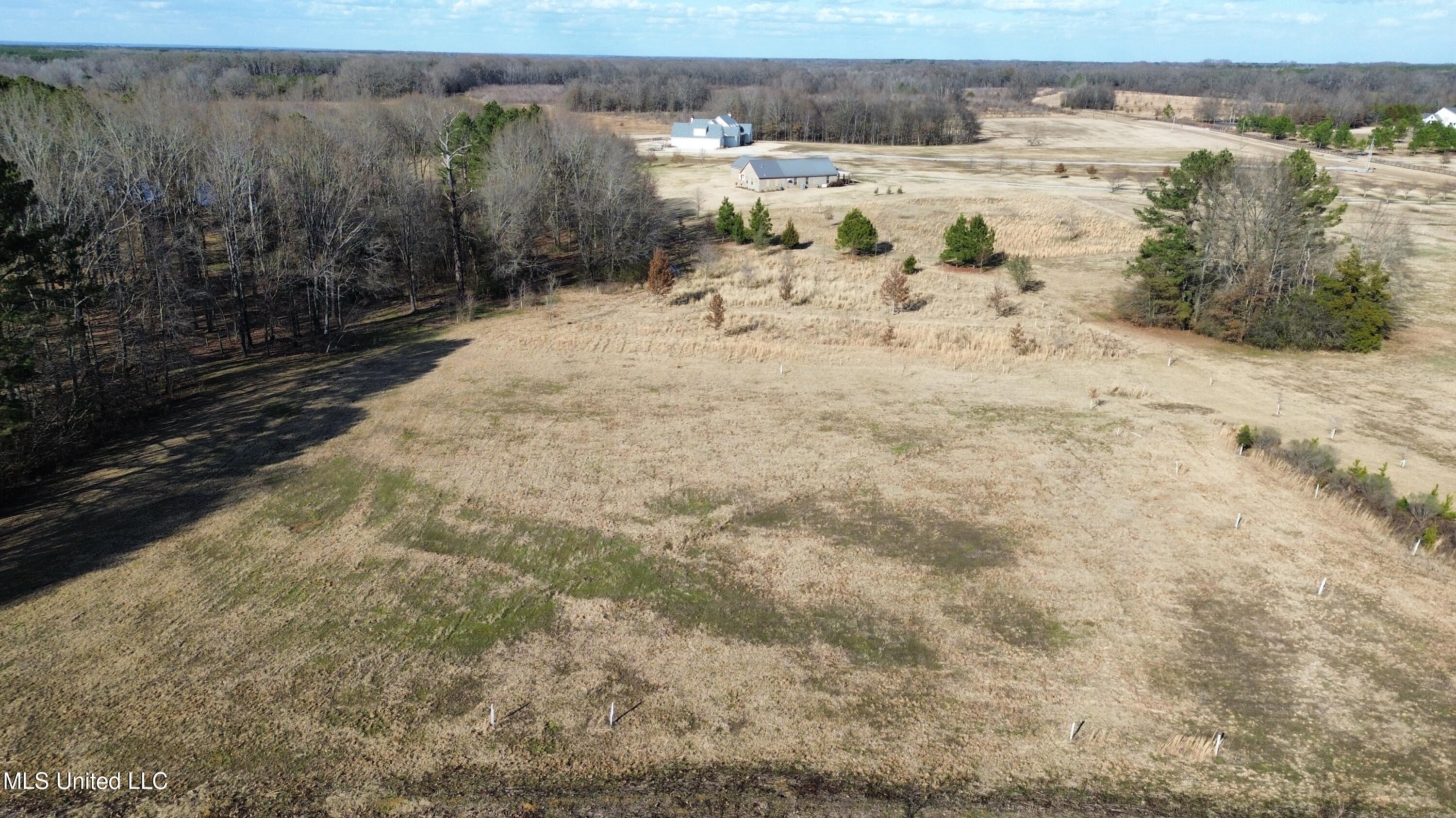 Two Lakes Drive, Madison, Mississippi image 9