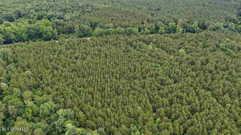 Vacant Land For Sale - 02 Highway 28<br/> Mize, MS 39116