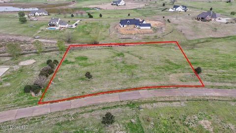 Vacant Land For Sale - Andover Drive<br/> Flora, MS 39071