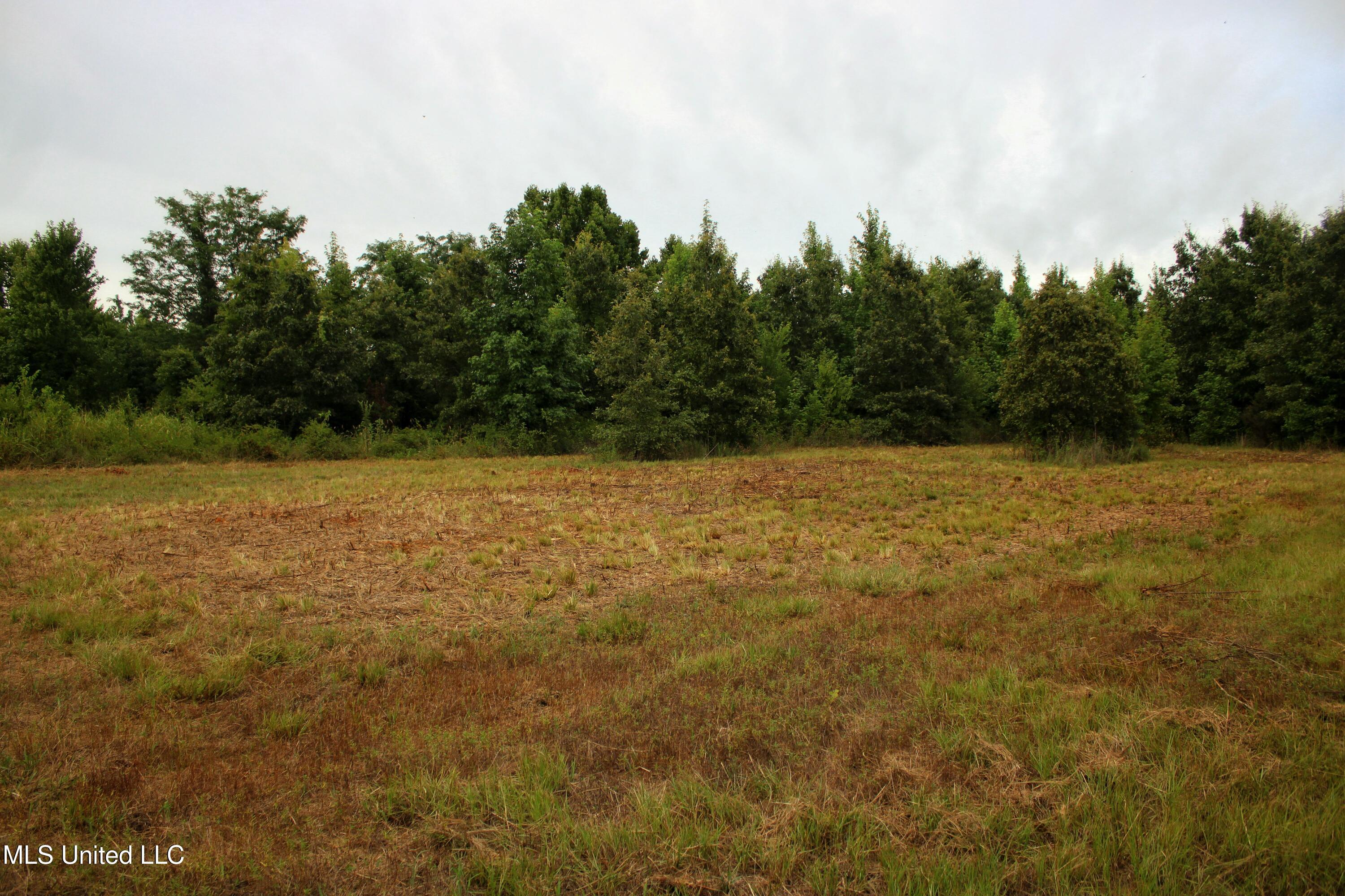 1314 County Road 180, Greenwood, Mississippi image 5