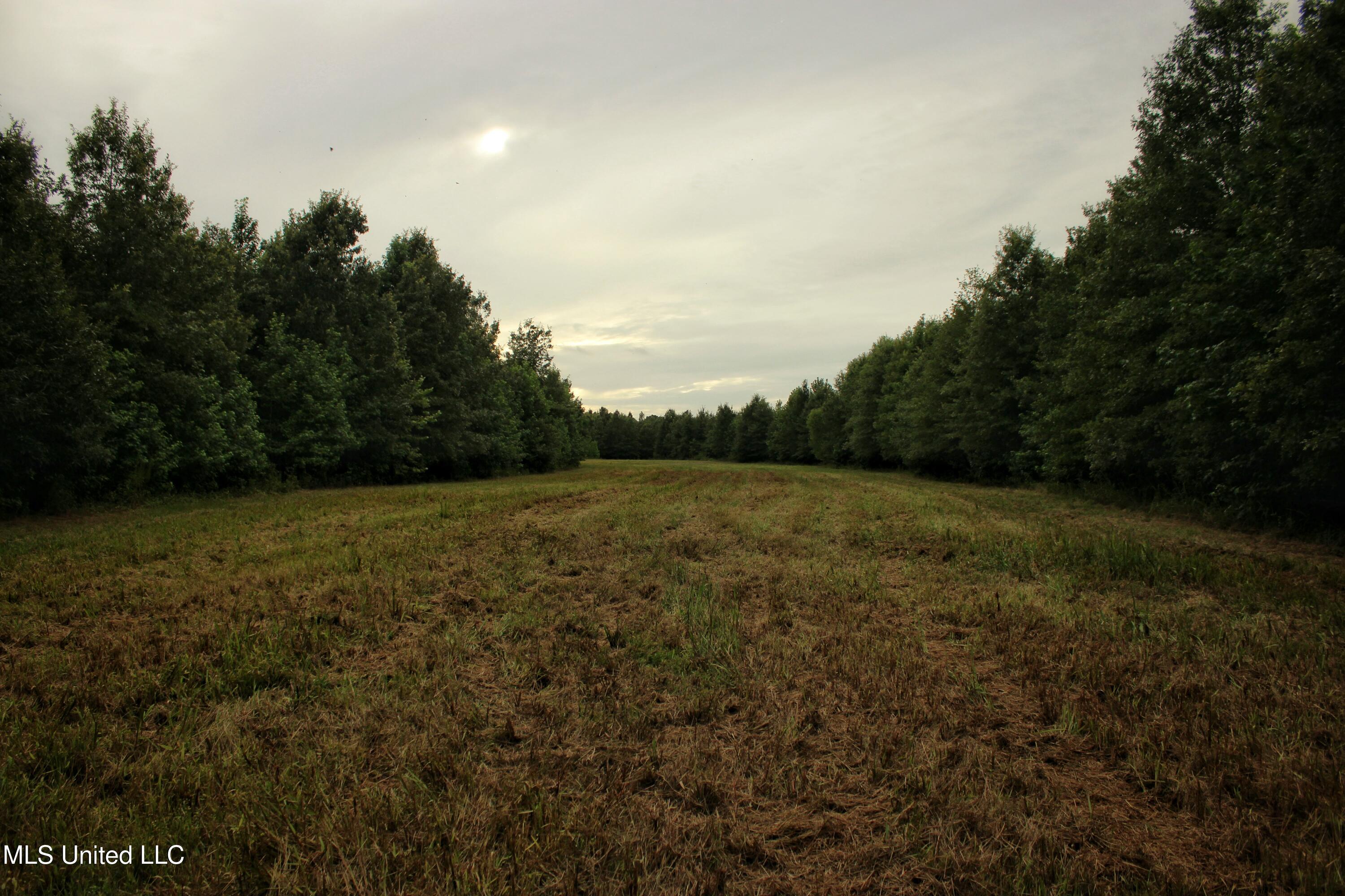 1314 County Road 180, Greenwood, Mississippi image 3