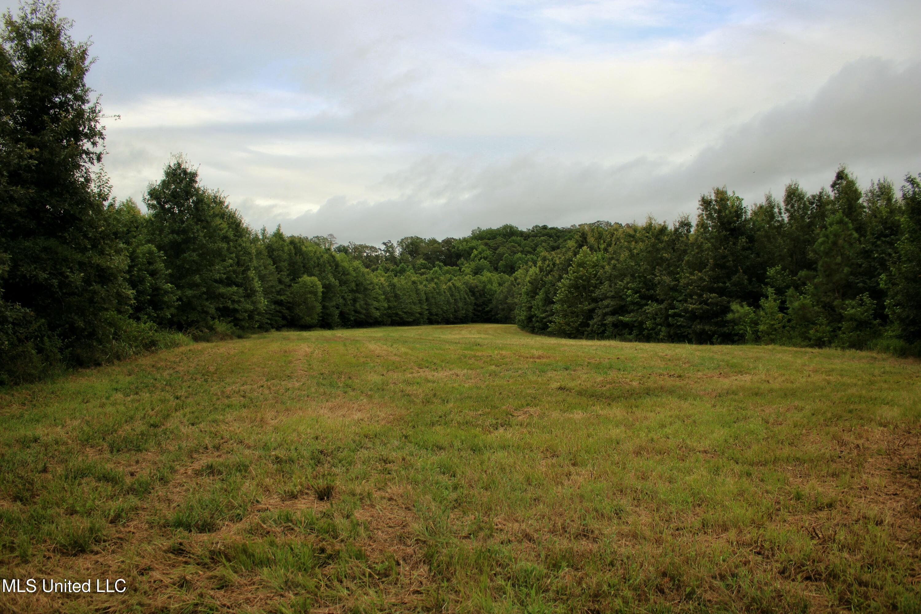 1314 County Road 180, Greenwood, Mississippi image 2