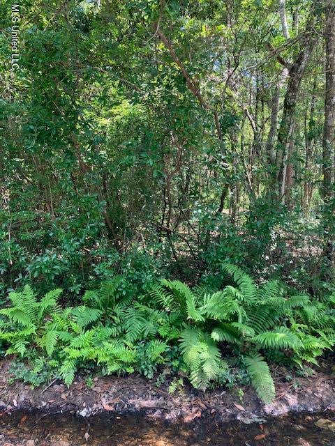 Vacant Land For Sale - NO Cullens Street<br/> Biloxi, MS 39532