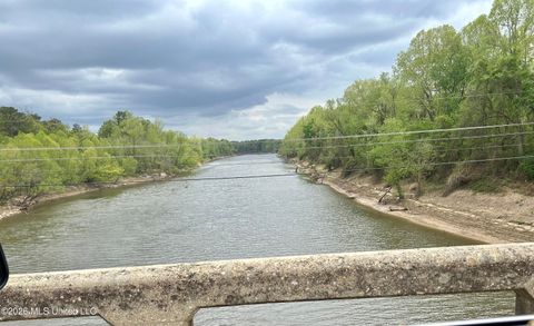 Vacant Land For Sale - Highway 184<br/> Lawrence County, Silver Creek, MS 39663