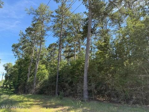 Vacant Land For Sale - 2 ACRES Hwy 49<br/> Covington County, Collins, MS 39428